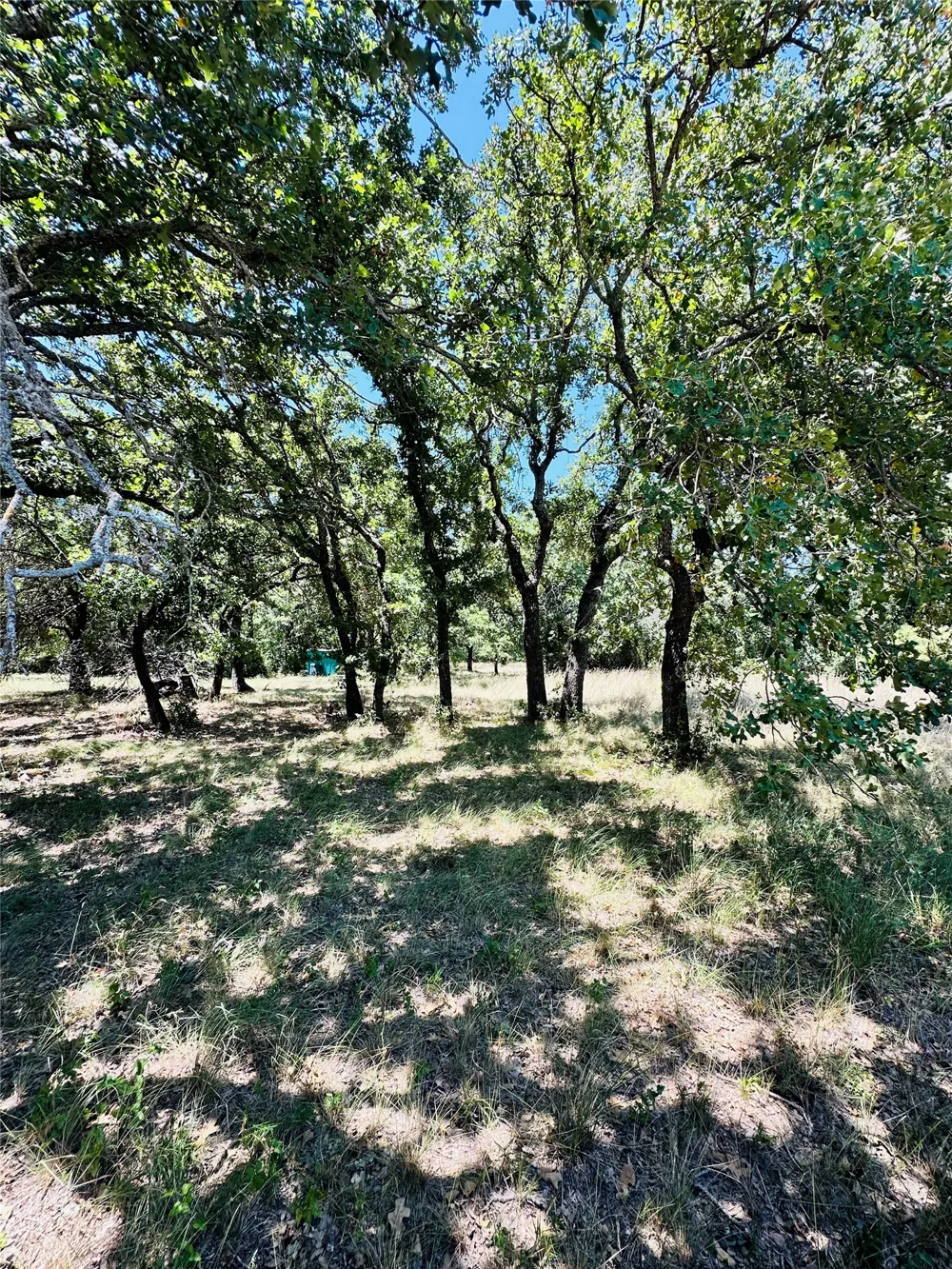 1020 Pleasant Valley Road May, TX 76857