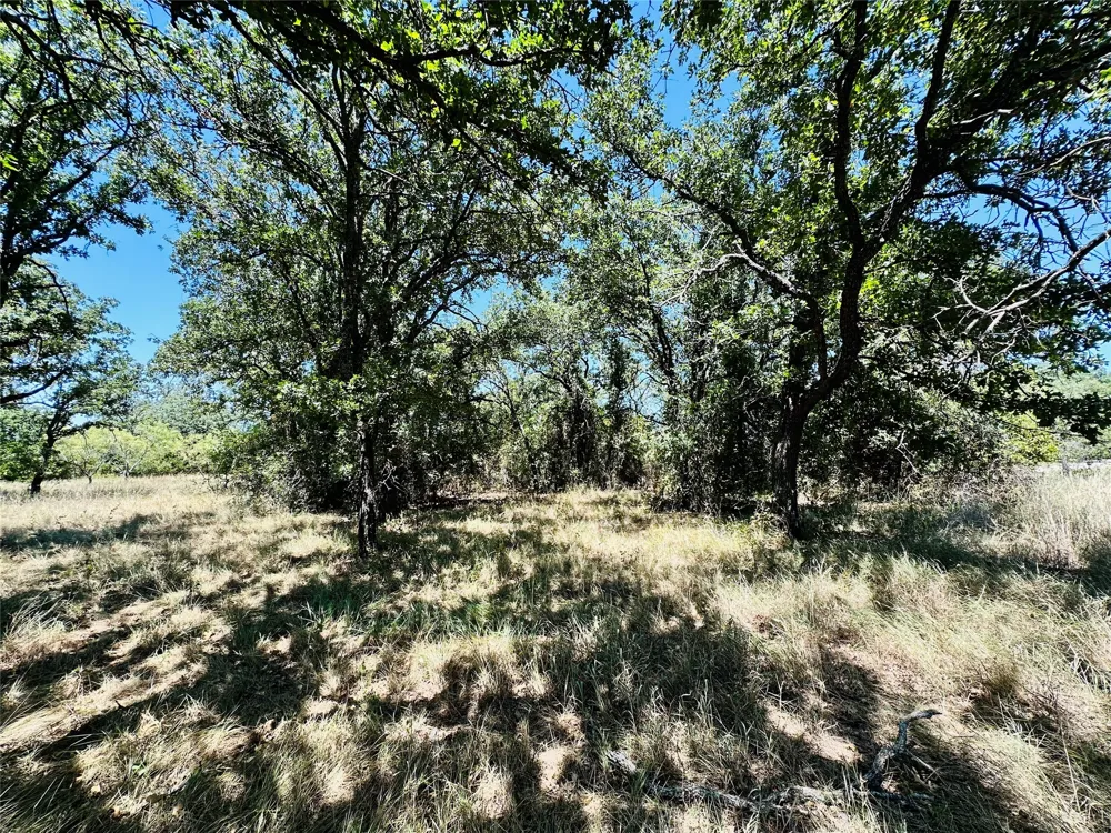 1020 Pleasant Valley Road May, TX 76857