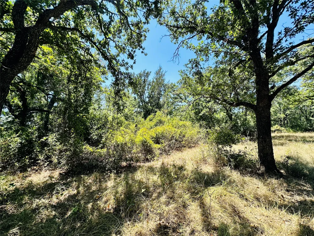 1020 Pleasant Valley Road May, TX 76857
