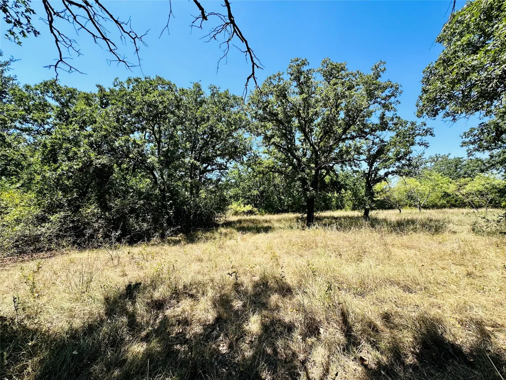 1020 Pleasant Valley Road May, TX 76857