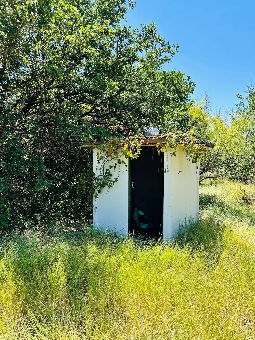 1020 Pleasant Valley Road May, TX 76857