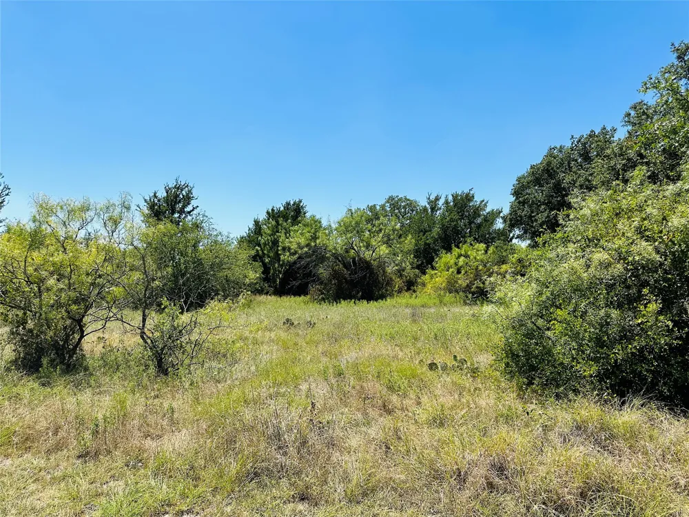 1020 Pleasant Valley Road May, TX 76857