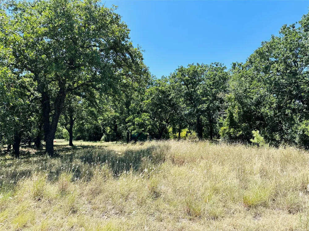 1020 Pleasant Valley Road May, TX 76857