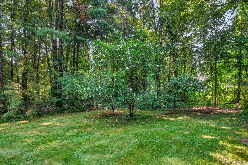 37 Julie Drive Hopewell Junction, NY 12533