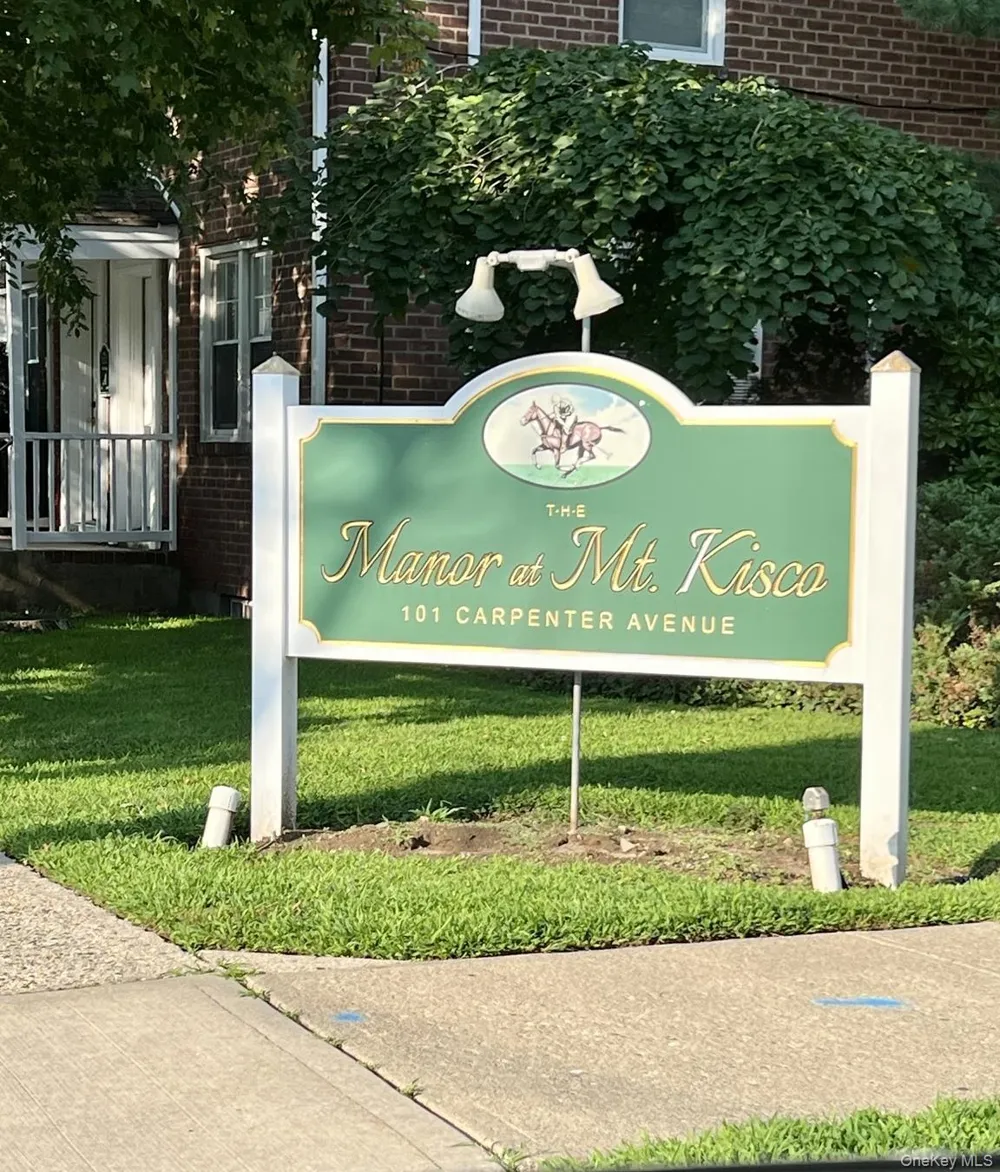 101 Carpenter Avenue #B5 Mount Kisco, NY 10549