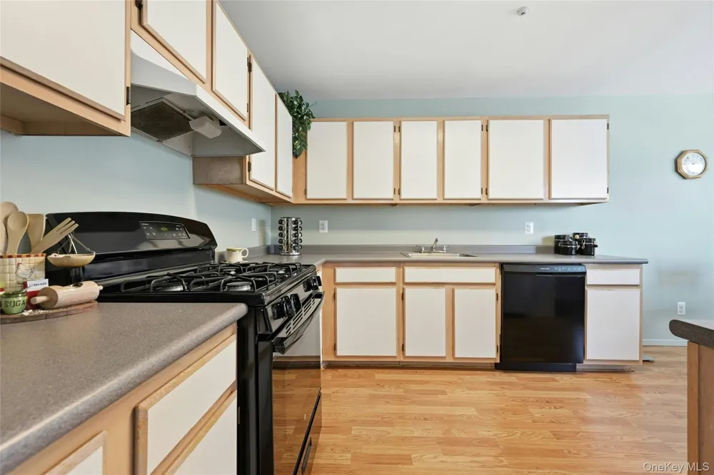 874 Birchwood Park Drive Middle Island, NY 11953