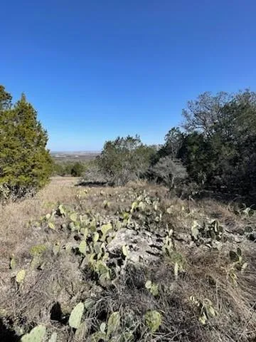 11101 Other Horseshoe Bay, TX 78657