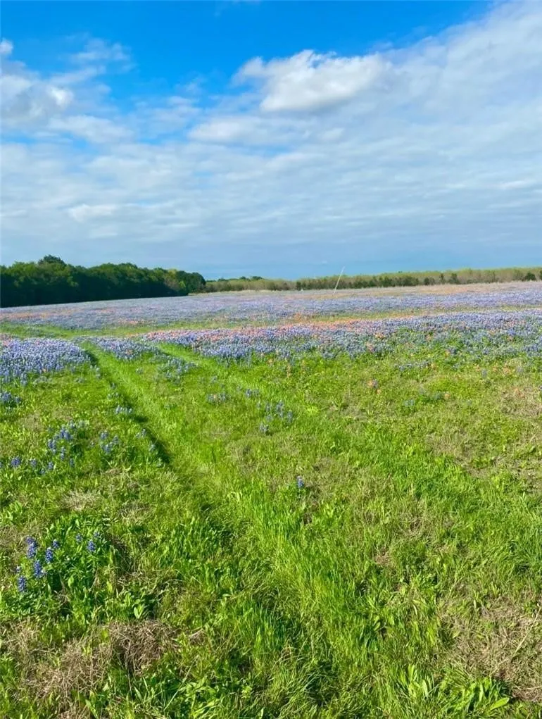 Kirkland Hill Road Axtell, TX 76624