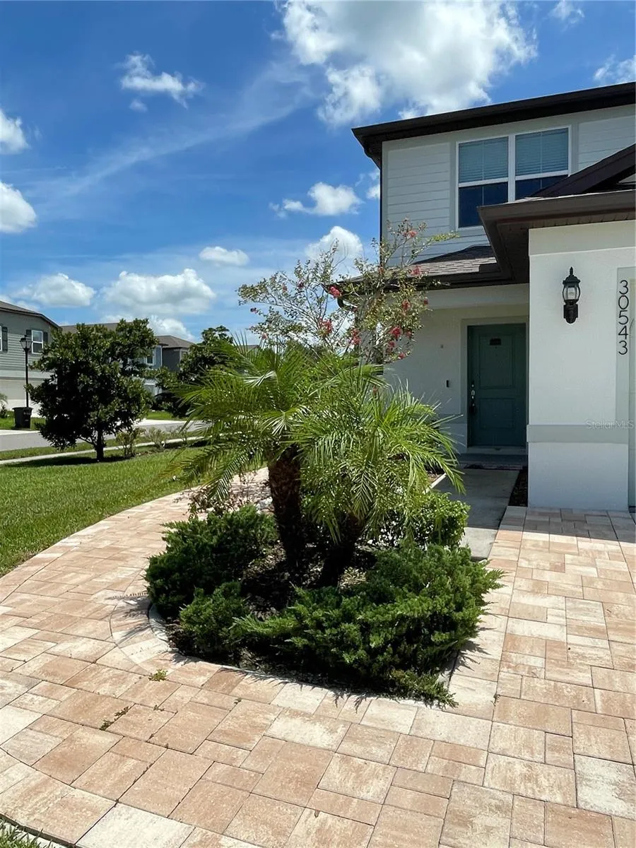 30543 THUNDERBIRD DR Wesley Chapel, FL 33545