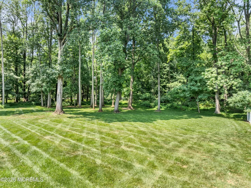 24 Windswept Road Holmdel, NJ 07733
