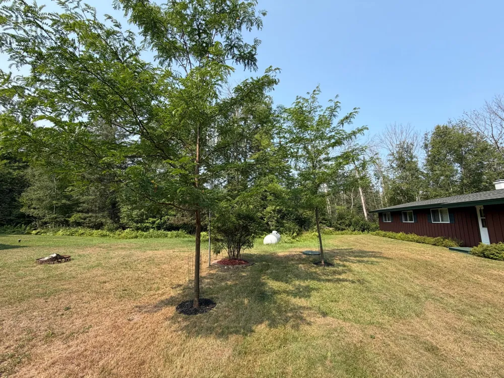 8903 E County Road Y Gordon, WI 54838