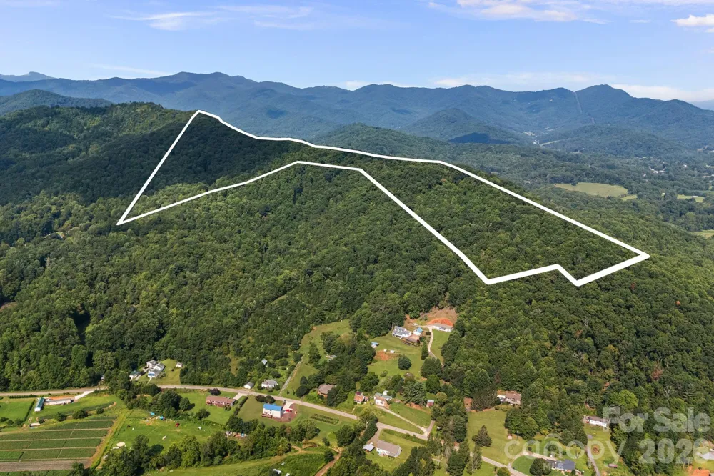 99999 Beaverdam Loop Road Candler, NC 28715