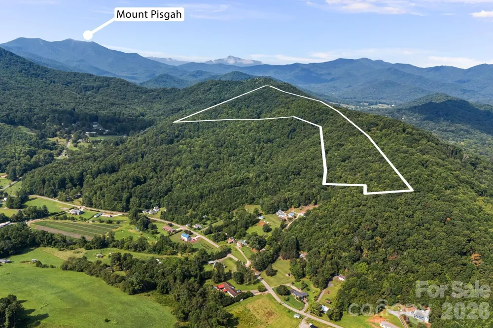 99999 Beaverdam Loop Road Candler, NC 28715