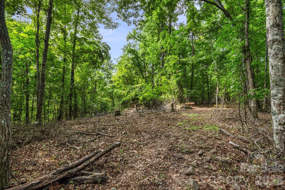 99999 Beaverdam Loop Road Candler, NC 28715