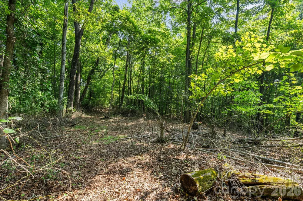 99999 Beaverdam Loop Road Candler, NC 28715