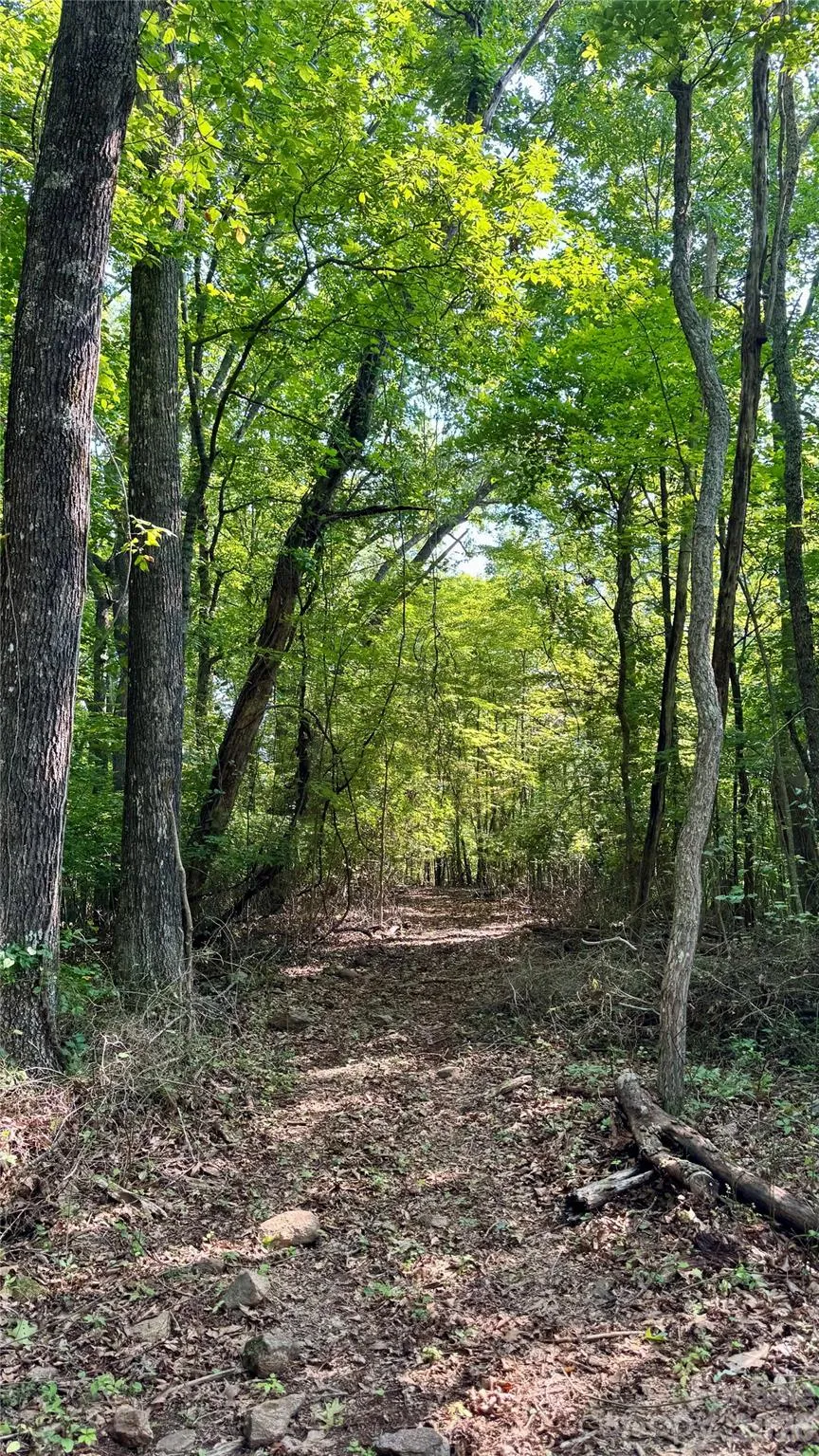 99999 Beaverdam Loop Road Candler, NC 28715