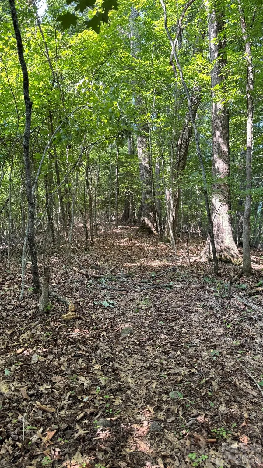 99999 Beaverdam Loop Road Candler, NC 28715