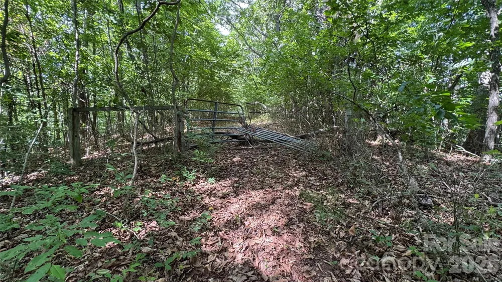 99999 Beaverdam Loop Road Candler, NC 28715