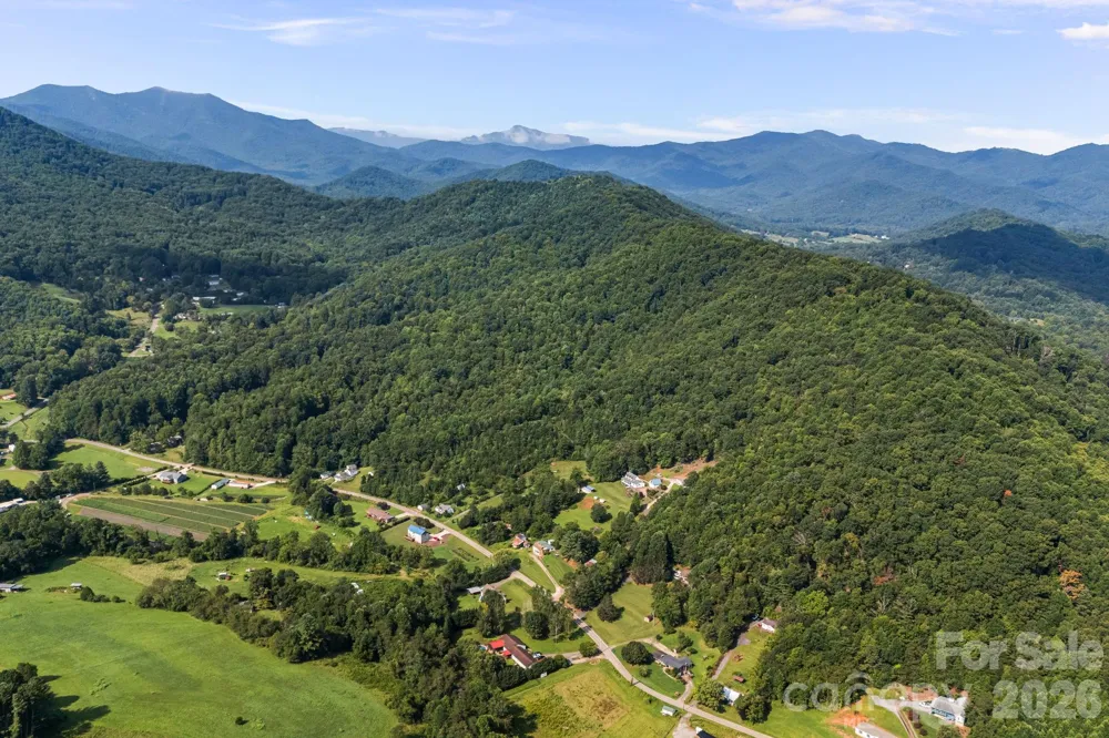 99999 Beaverdam Loop Road Candler, NC 28715