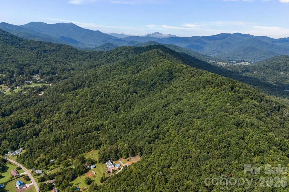99999 Beaverdam Loop Road Candler, NC 28715