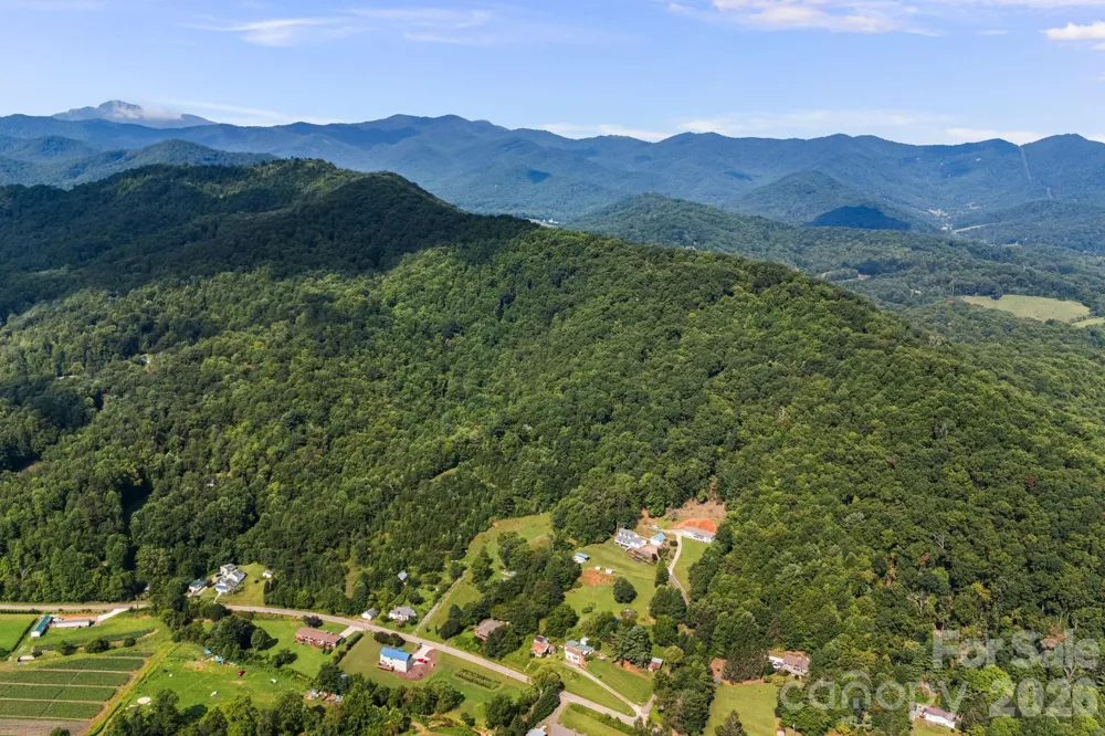 99999 Beaverdam Loop Road Candler, NC 28715
