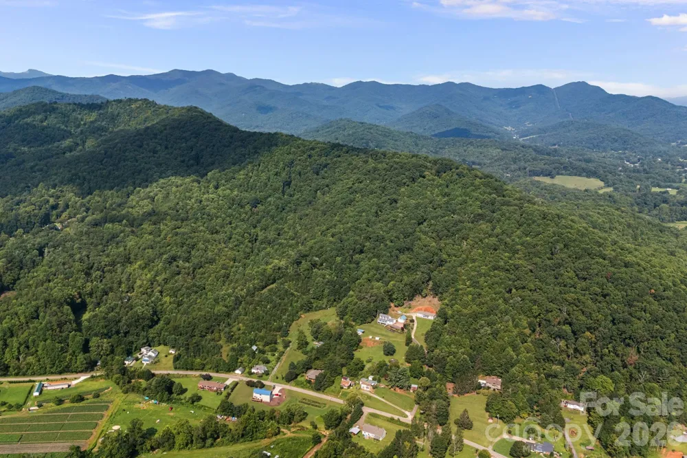 99999 Beaverdam Loop Road Candler, NC 28715