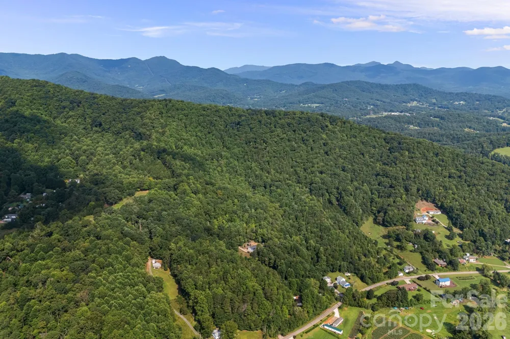 99999 Beaverdam Loop Road Candler, NC 28715