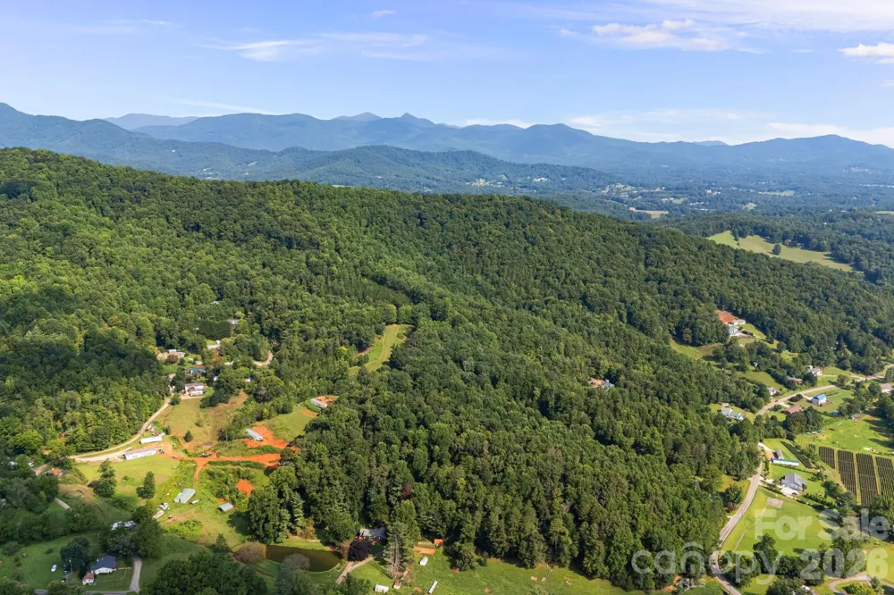 99999 Beaverdam Loop Road Candler, NC 28715