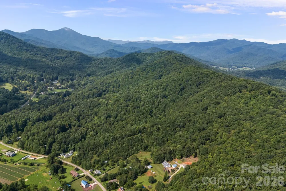 99999 Beaverdam Loop Road Candler, NC 28715