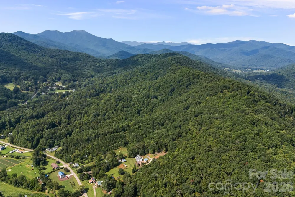 99999 Beaverdam Loop Road Candler, NC 28715
