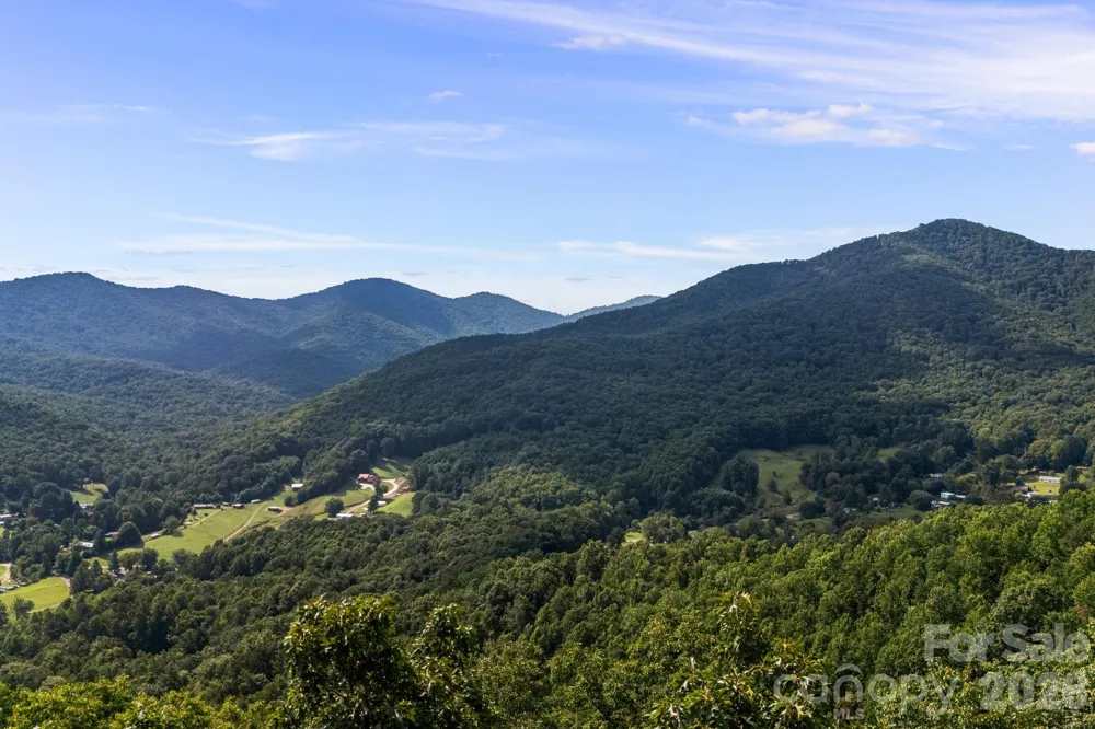 99999 Beaverdam Loop Road Candler, NC 28715