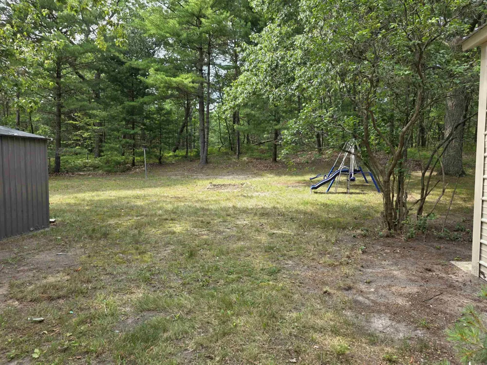 1137 Wintergreen Street Baldwin Township, MI 48730