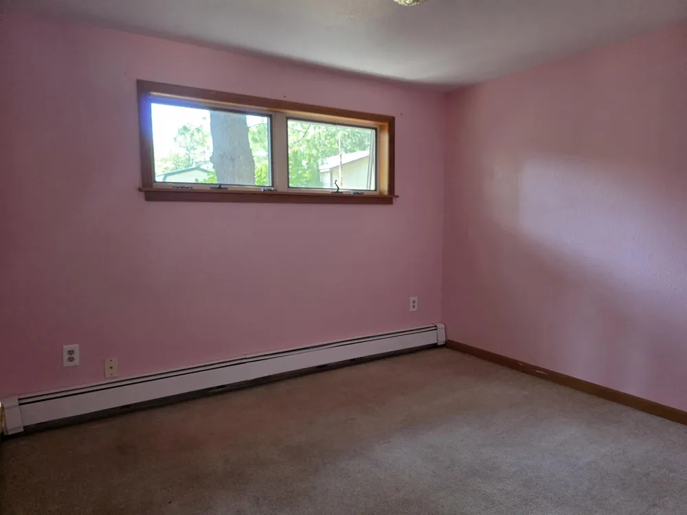 1137 Wintergreen Street Baldwin Township, MI 48730