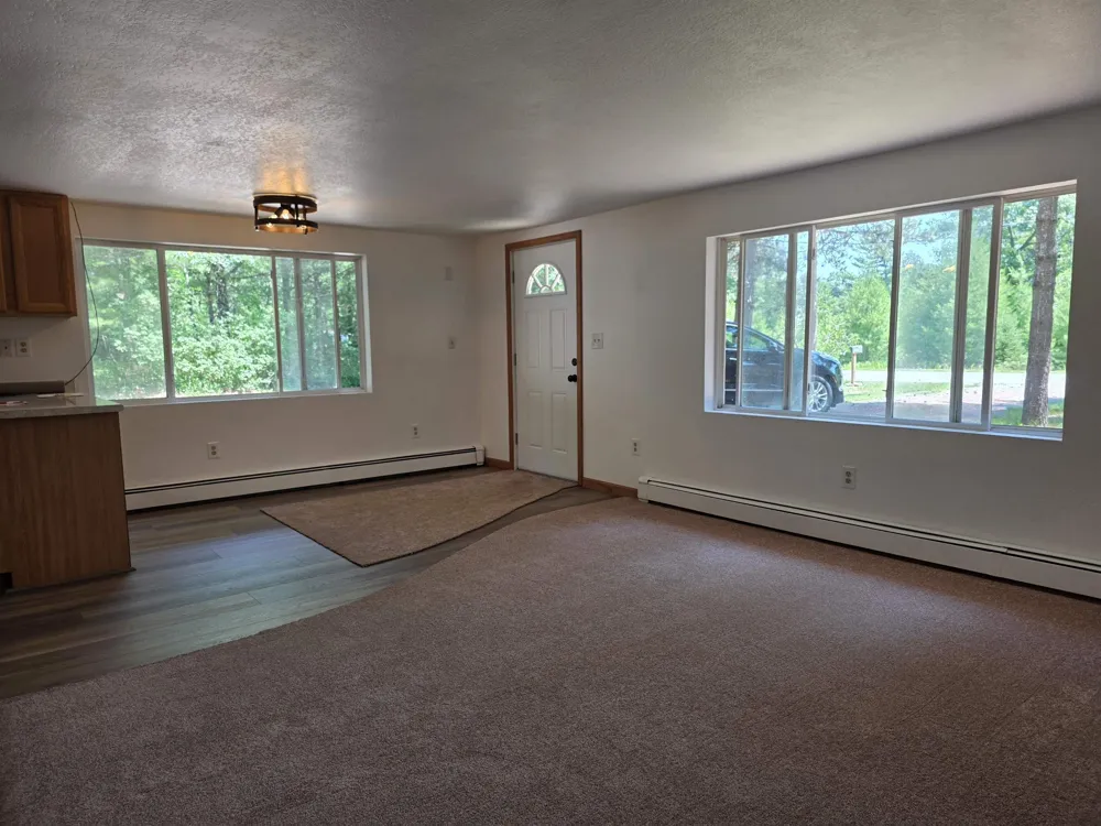 1137 Wintergreen Street Baldwin Township, MI 48730