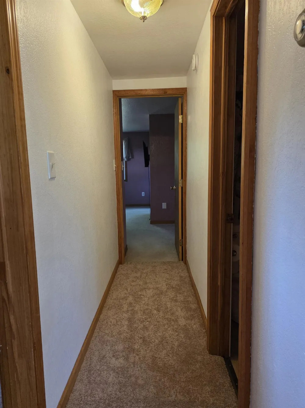 1137 Wintergreen Street Baldwin Township, MI 48730