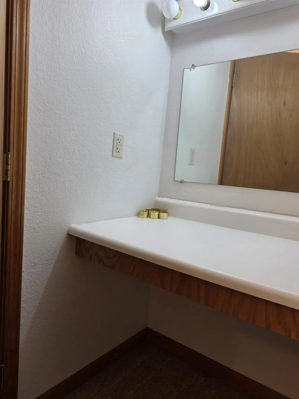 1137 Wintergreen Street Baldwin Township, MI 48730