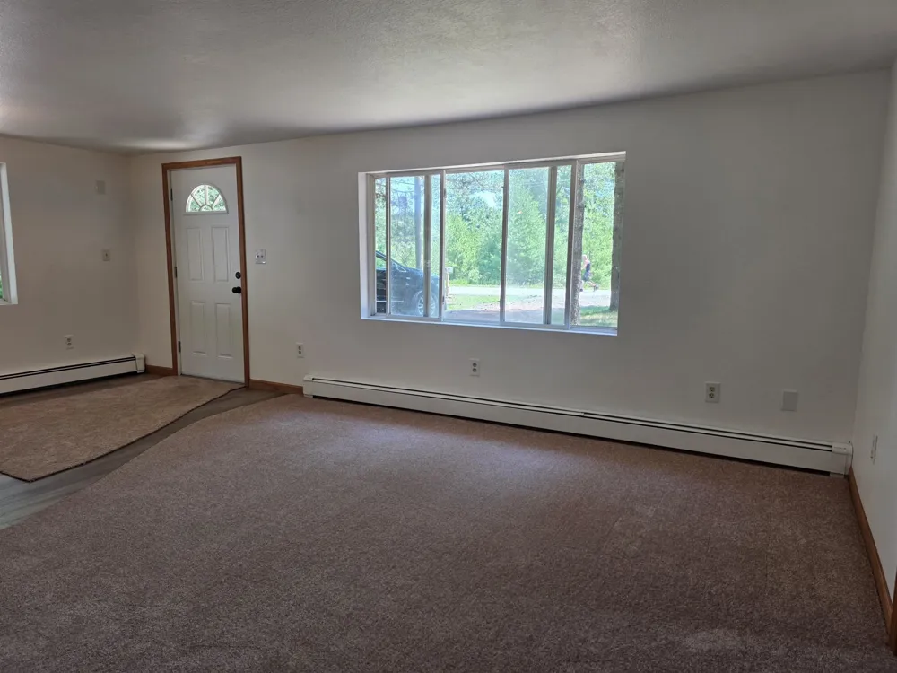 1137 Wintergreen Street Baldwin Township, MI 48730
