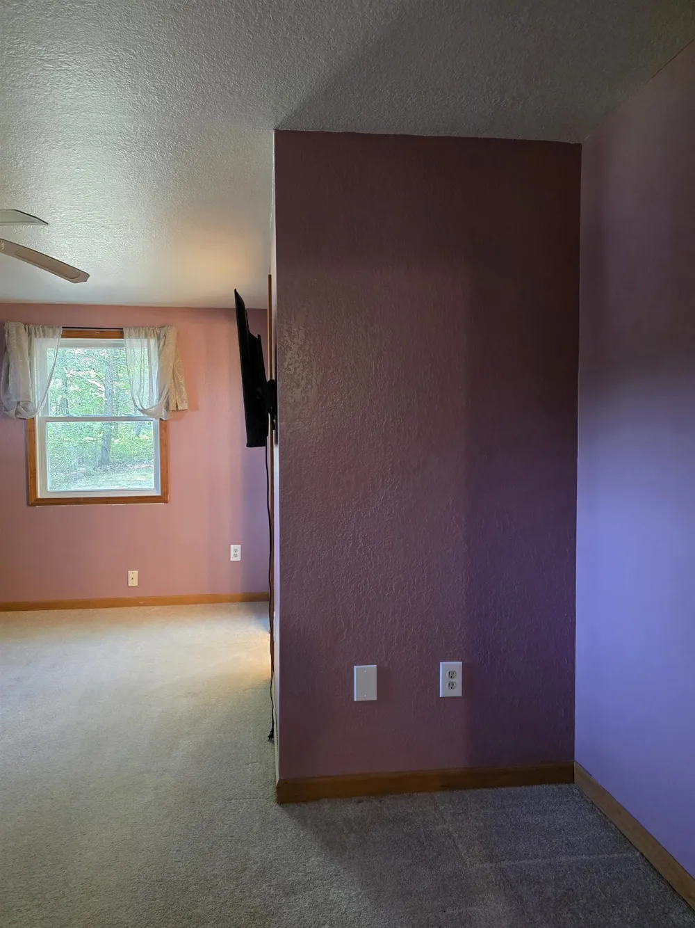 1137 Wintergreen Street Baldwin Township, MI 48730