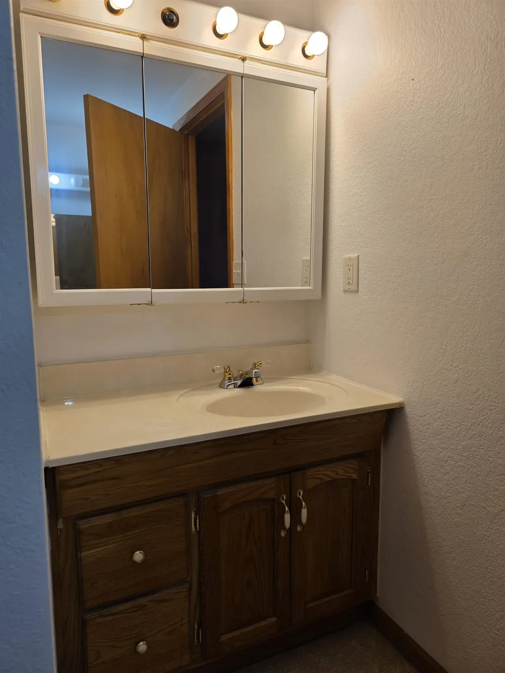 1137 Wintergreen Street Baldwin Township, MI 48730