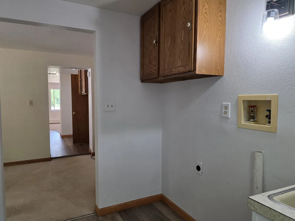 1137 Wintergreen Street Baldwin Township, MI 48730