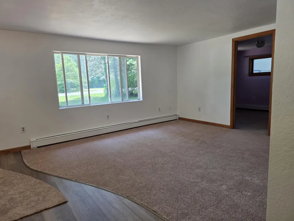 1137 Wintergreen Street Baldwin Township, MI 48730