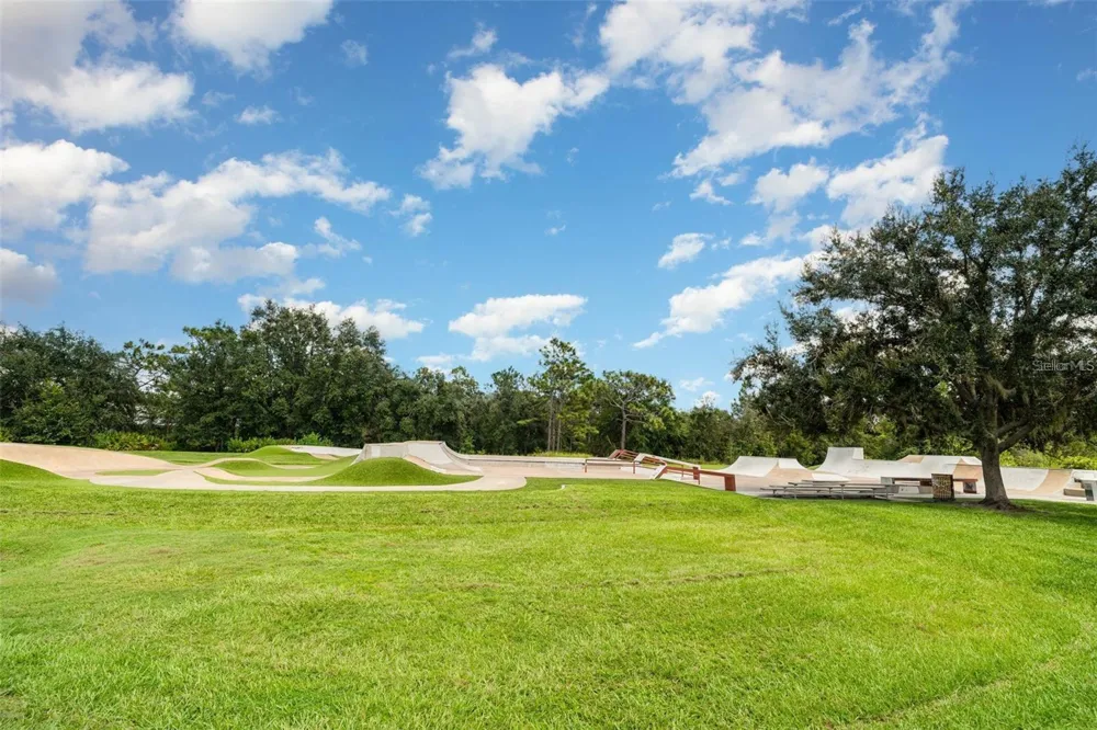 5520 KINGLETHILL DRIVE Lithia, FL 33547