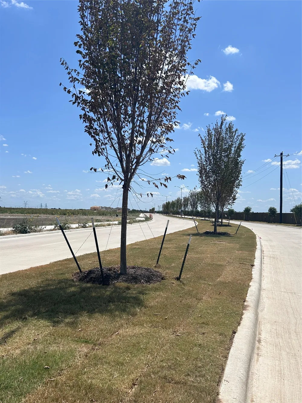 9909 Iron Wood Drive Ponder, TX 76259