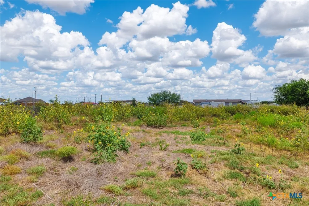 171 Daniel Drive Bertram, TX 78605