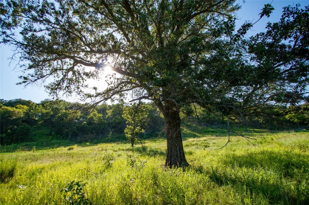14202 E Reynolds Road Kiowa, OK 74553