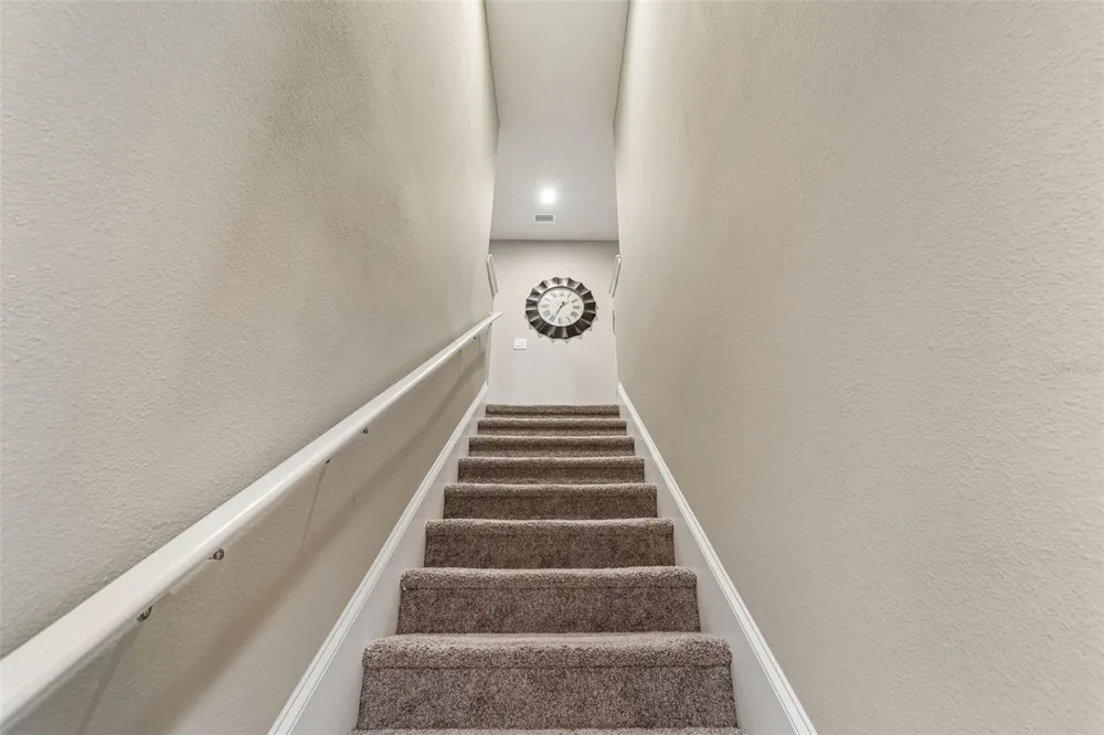18907 CORNUTA STREET Lutz, FL 33558