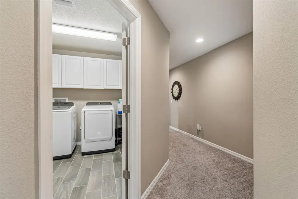 18907 CORNUTA STREET Lutz, FL 33558