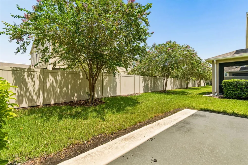 18907 CORNUTA STREET Lutz, FL 33558