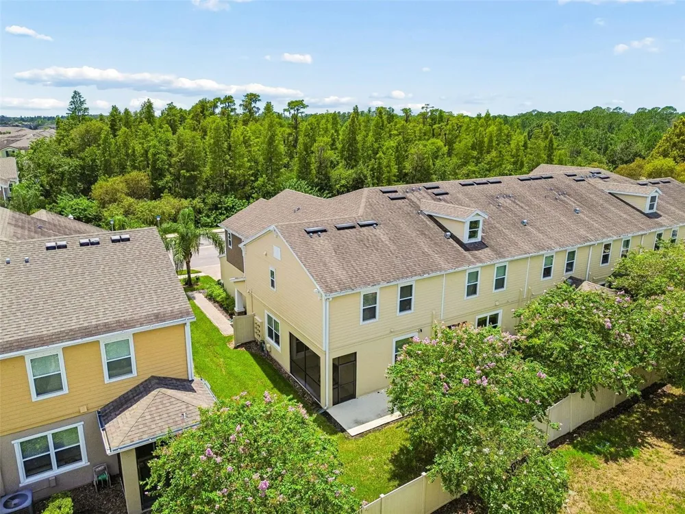 18907 CORNUTA STREET Lutz, FL 33558