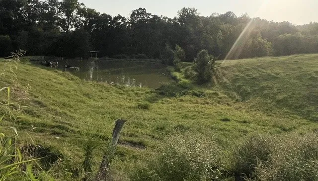 0 Wilkerson Road Adolphus, KY 42120
